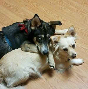 Meet your Posher, Marianne